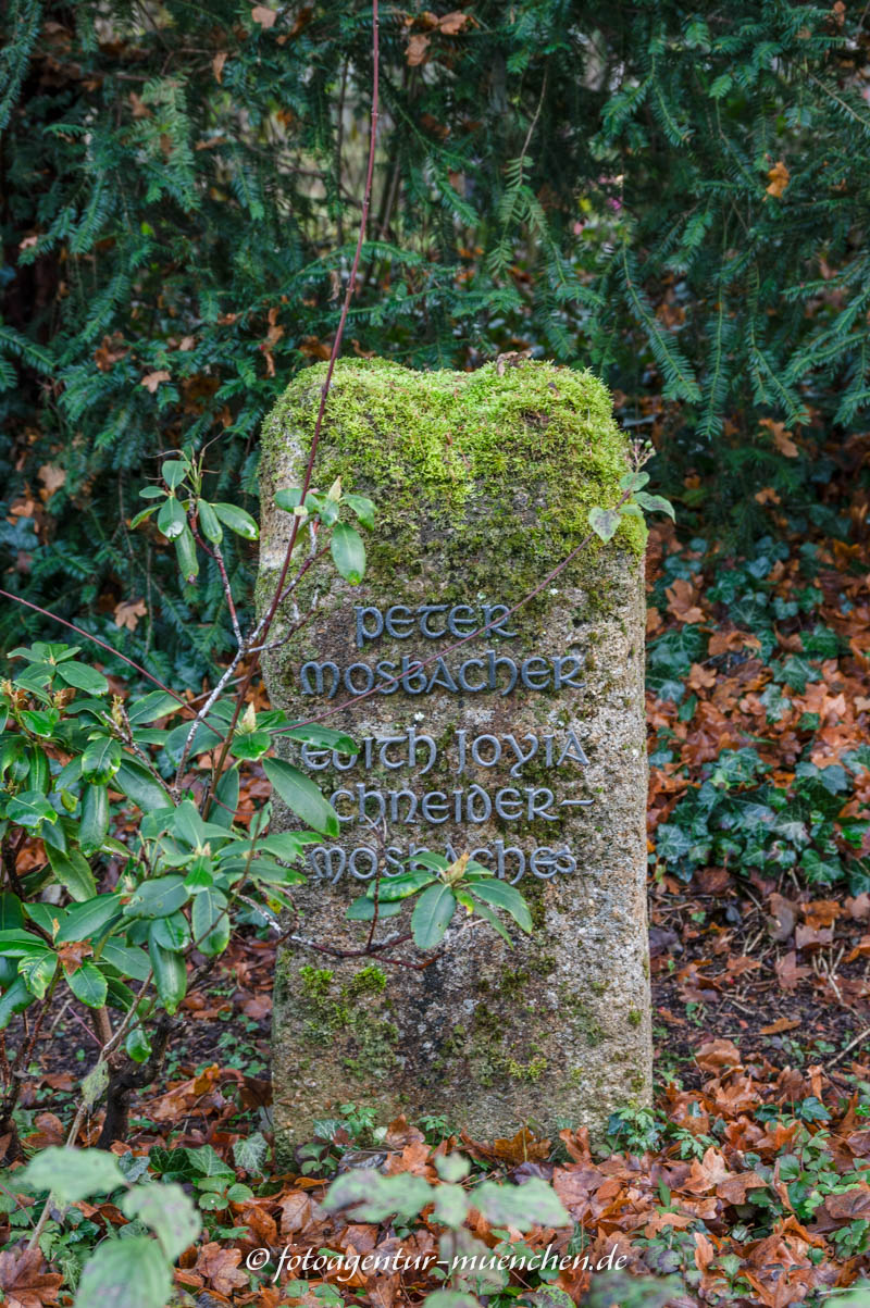 Grab - Peter Mosbacher