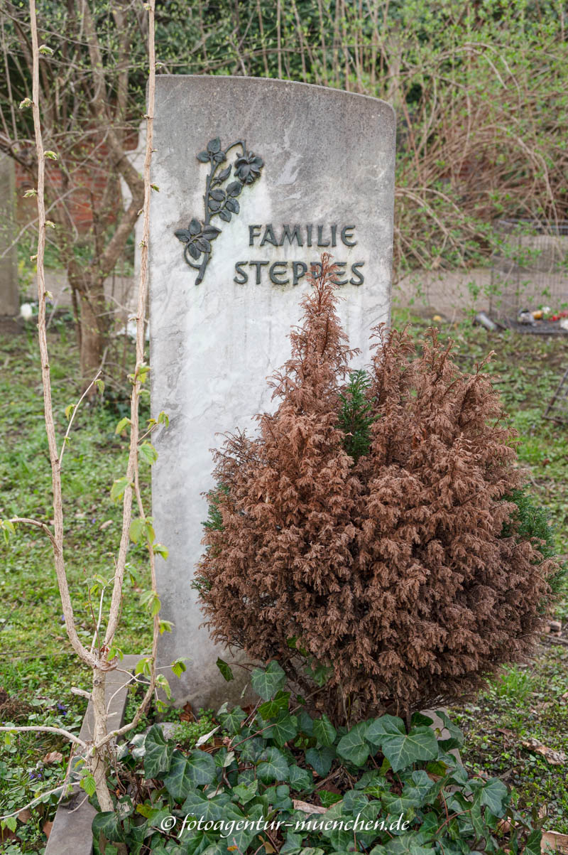 Grab - Edmund Steppes