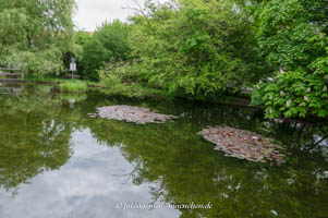 Sollner Weiher