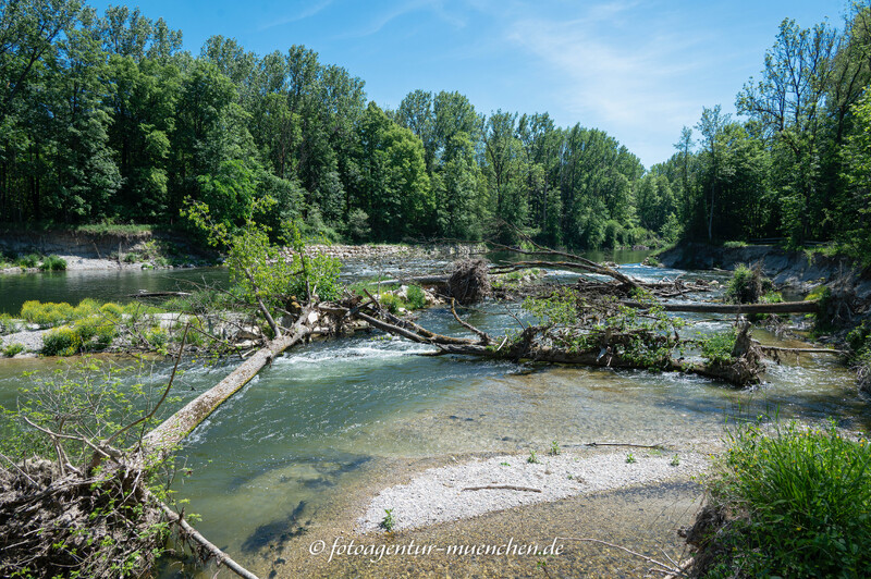 Isar - Neue Ufer