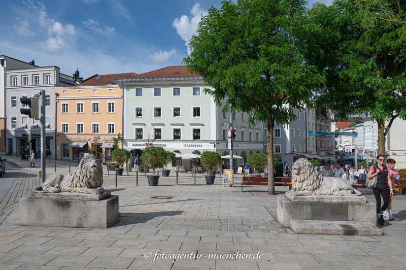 Die Löwen am Ludwigsplatz