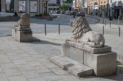 Die Löwen am Ludwigsplatz