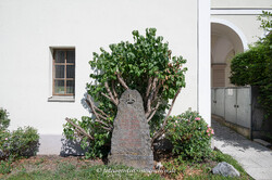 Kriegerdenkmal