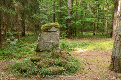 Brandgrab, Heidenhügel