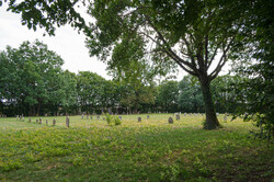 Jüdischer Friedhof - Wallerstein