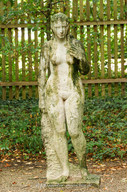 Venus?