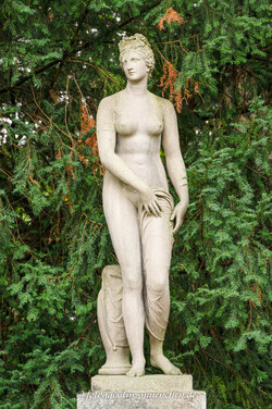Aphrodite