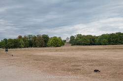 Englischer Garten im Hitzesommer 2026