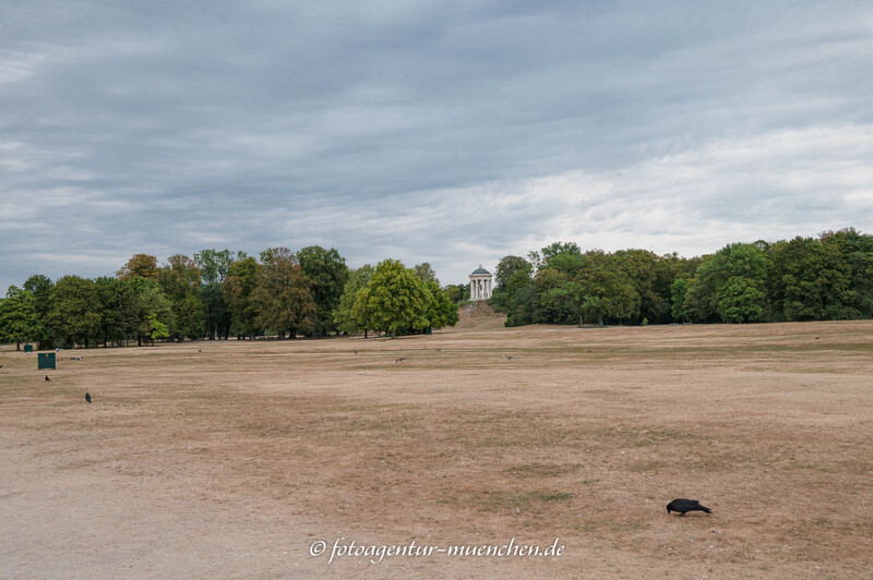 Englischer Garten im Hitzesommer 2026
